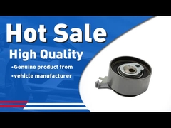 टाइमिंग बेल्ट टेन्शनर 30638277 S60 S80 XC60 XC70 के लिए