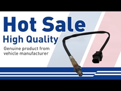 ऑक्सीजन सेंसर-31293740