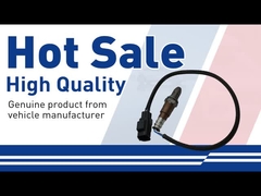 वोल्वो के लिए ऑक्सीजन सेंसर