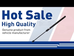 हुड स्ट्रट-30649736