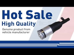 एयर शॉक अवशोषक-31658904