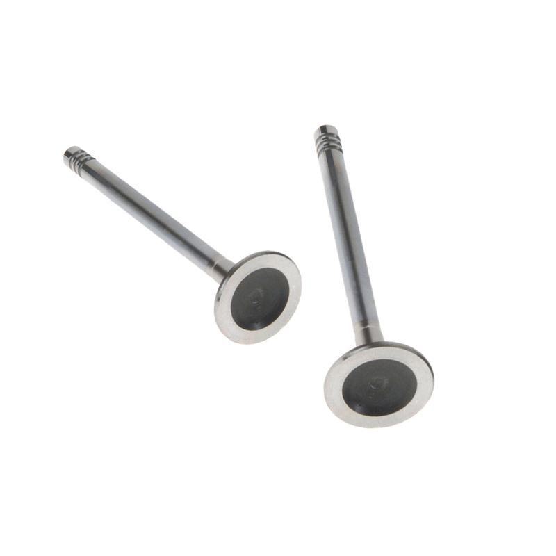 वोमाला इंजन एग्जॉस्ट वाल्व 32249029 वॉल्वो XC90 इंजन ऑटो पार्ट्स के लिए एग्जॉस्ट वाल्व