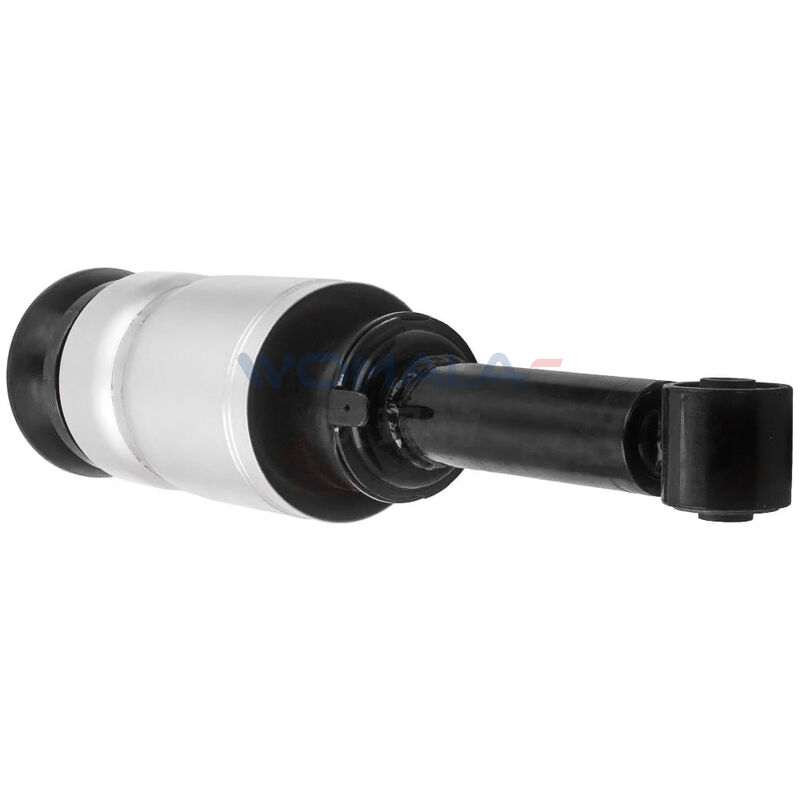 Womala RNB501580 लैंड रोवर डिस्कवरी 3 RNB501250 RNB501180 के लिए फ्रंट शॉक एब्सॉर्बर असेंबली