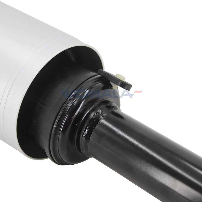 Womala RNB501580 लैंड रोवर डिस्कवरी 3 RNB501250 RNB501180 के लिए फ्रंट शॉक एब्सॉर्बर असेंबली