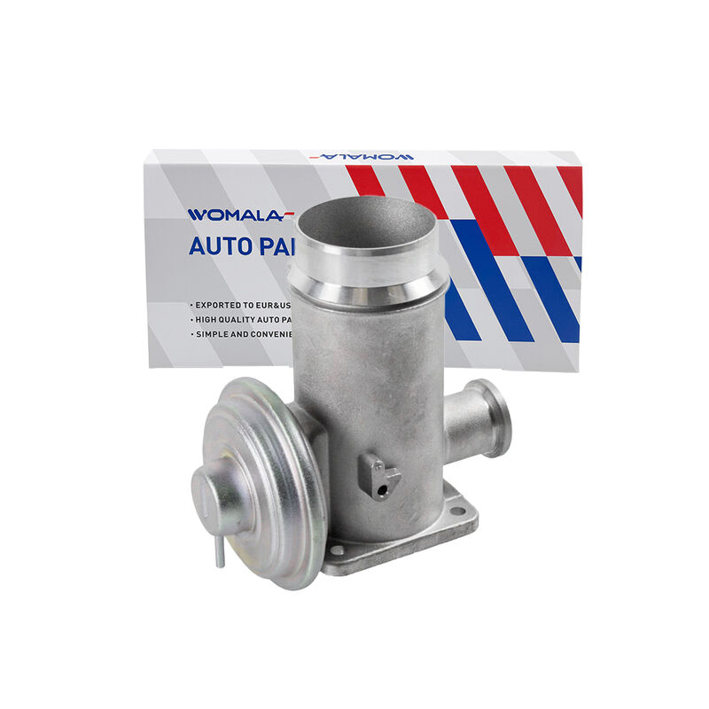 Womala ऑटो पार्ट्स एग्जॉस्ट गैस रिकर्कुलर वाल्व OE 11717792077 Bmw के लिए EGR वाल्व