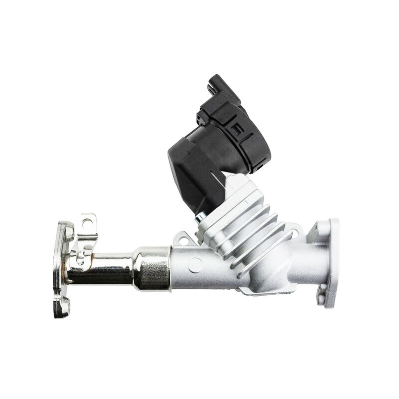 वोमाला ऑटो पार्ट्स ईजीआर वाल्व 11717563241 11718479590 बीएमडब्ल्यू 1/3/5 सीरीज के लिए